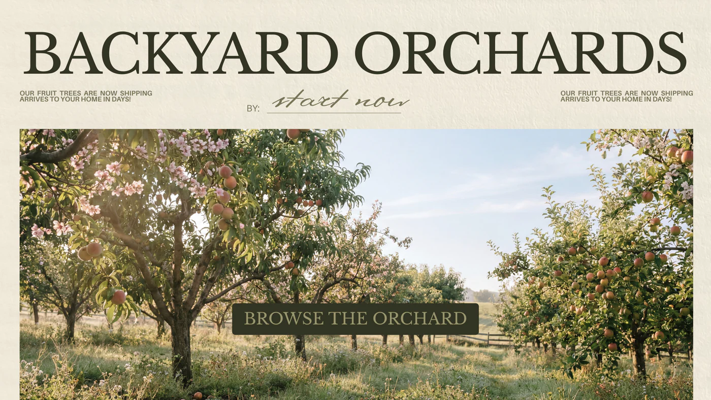 Your Dream Garden Delivered Daily